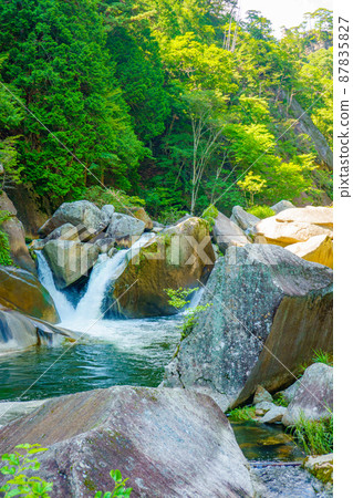 [Kofu City, Yamanashi Prefecture] Shosenkyo Mitake 87835827