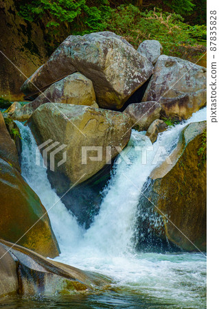 [Kofu City, Yamanashi Prefecture] Shosenkyo Mitake 87835828