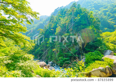 [Kofu City, Yamanashi Prefecture] Shosenkyo Mitake 87835899