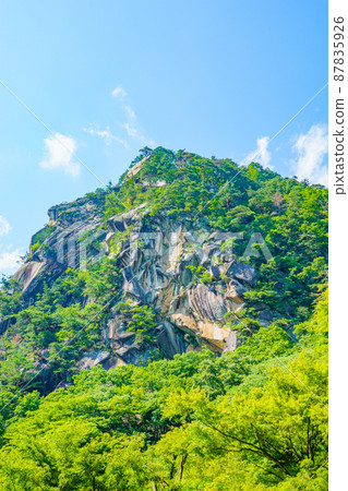 [Kofu City, Yamanashi Prefecture] Shosenkyo Mitake 87835926