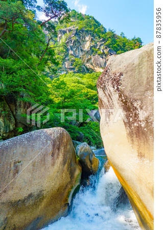 [Kofu City, Yamanashi Prefecture] Shosenkyo Mitake 87835956