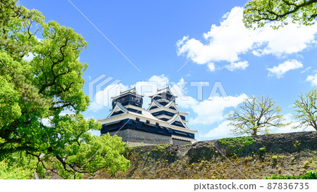 熊本城“重建和重建後”2021（春季）新鮮的綠色風景熊本城 87836735