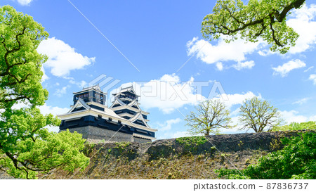 熊本城“重建和重建後”2021（春季）新鮮的綠色風景熊本城 87836737