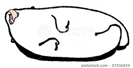 A polar bear lying down and sticking out its tongue 87836859