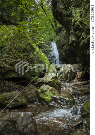 "Ayahiro Falls" on Mt. Mitake [Ome City, Tokyo] 87836961
