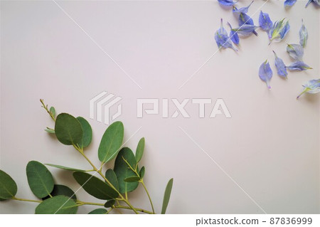 Scattered blue petals and green 87836999