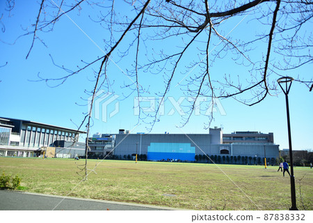 和平森林公園 87838332