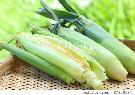Corn with skin harvest outdoors natural background Corn with skin harvest outdoors natural background 87839185