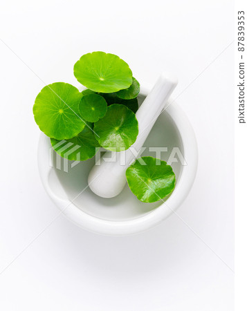 Close up centella asiatica leaves with white mortar isolated on white background top view. 87839353