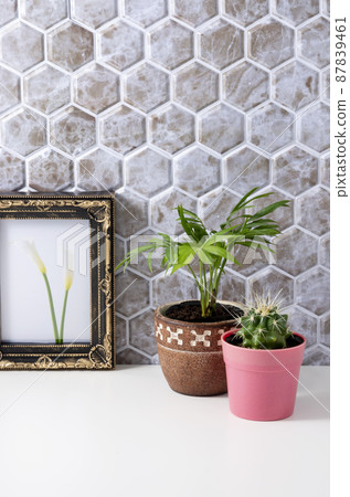 Beige tile walls, photo frames and foliage plants 87839461