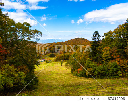 Grassland in the mountains in autumn (Zao Onsen Ski Resort, Yamagata Prefecture) 87839608
