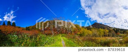 秋葉高原和三寶湖人山（山形縣藏王山脈片內沼周邊） 87839618