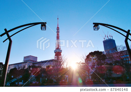 傍晚的東京塔 87840148