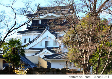 Okazaki Castle 87841081
