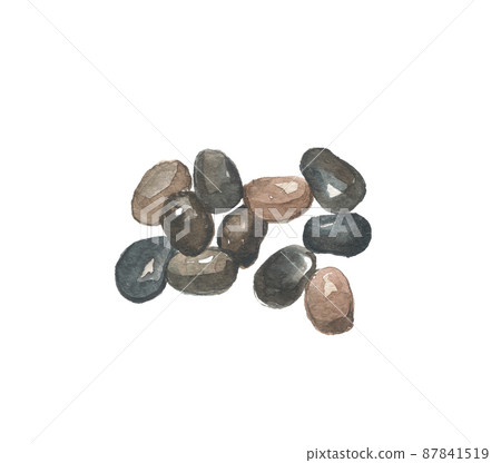 Styphnolobium seeds seeds 87841519
