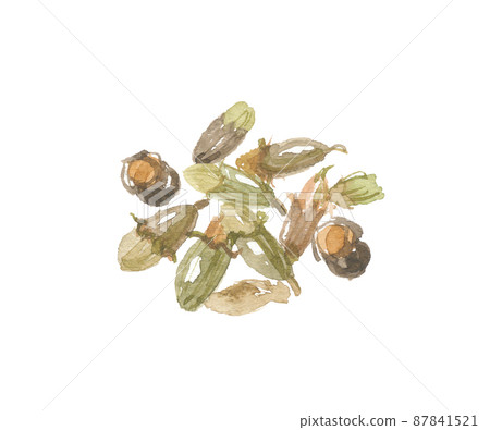 Enju bud Enju bud 87841521