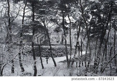 東華寺風光 東華寺風光 87841623