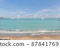 Sea 87841769