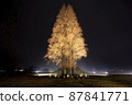 tree 87841771