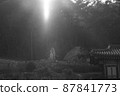 Buddhist image 87841773