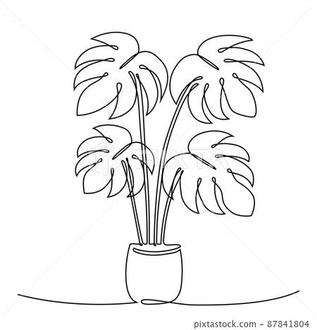 Houseplant monstera in one continuous line drawing, vector illustration 87841804