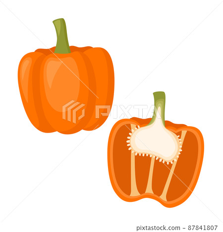 Orange bell pepper, whole vegetable and half. Vector illustration Orange bell pepper, whole vegetable and half. Vector illustration 87841807
