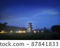 tower 87841833