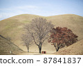 Royal tomb 87841837