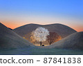 Royal tomb 87841838