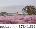 Pink mull 87841839
