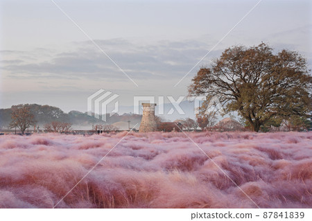 Pink mull 87841839