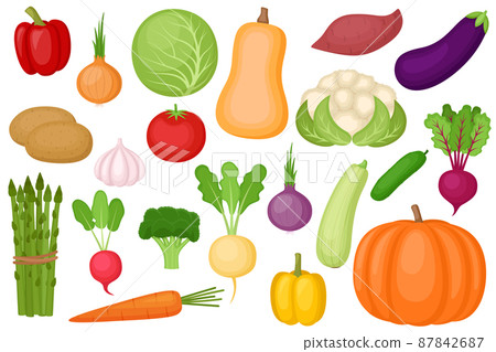 Set of fresh ripe vegetables, vector illustration 87842687