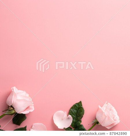 Valentine's Day Bouquet Roses Background Valentine's Day rose バレンタイン 87842890
