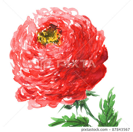 花朵 花 花卉 87843567