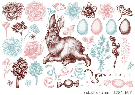 Easter hand drawn vector illustrations collection. Stylized rabbit, eggs, willow branches, etc. Easter hand drawn vector illustrations collection. Stylized rabbit, eggs, willow branches, etc. 87843697