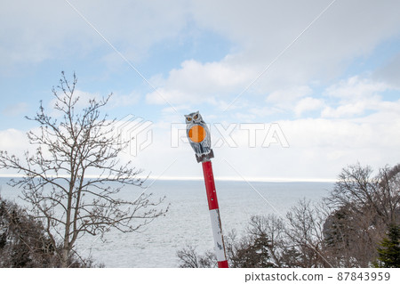 Shiretoko winter owl shoulder pole and drift ice in the Sea of Okhotsk (Hokkaido, Shari Town, Iwao Betsu) Shiretoko winter owl shoulder pole and drift ice in the Sea of Okhotsk (Hokkaido, Shari Town, Iwao Betsu) 87843959