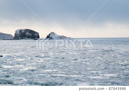 Winter Shiretoko / Utoro Drift ice in the Sea of Okhotsk (Hokkaido / Shari Town / Utoro) 87843986