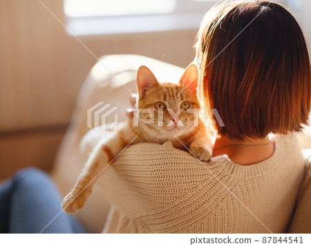 woman resting with cat on sofa at home woman resting with cat on sofa at home 87844541