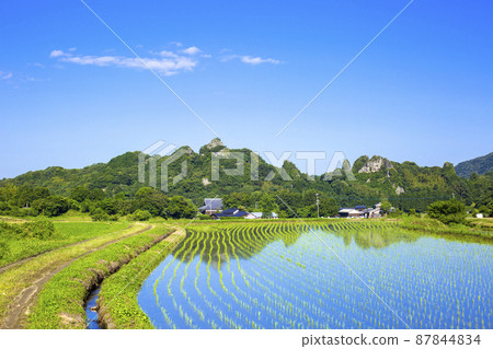 Tadameso Tadameso 87844834