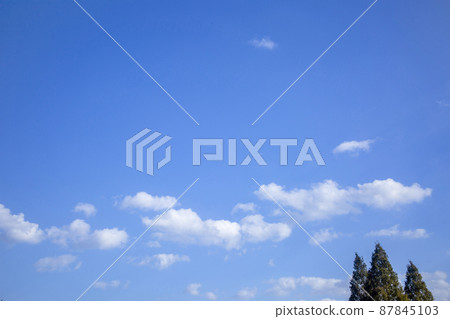 樹木和天空 樹木和天空 87845103