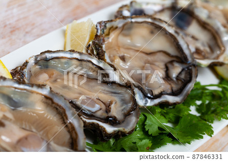 Opened oysters with lemon and herbs Opened oysters with lemon and herbs 87846331