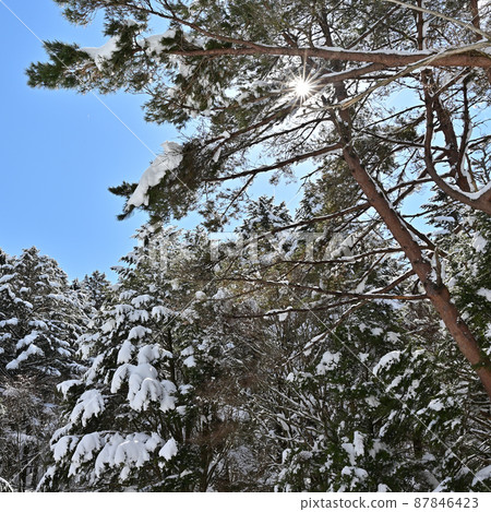 Winter scenery of Mt. Tsurugi, one of the 100 famous mountains in Japan in Tokushima Prefecture 87846423