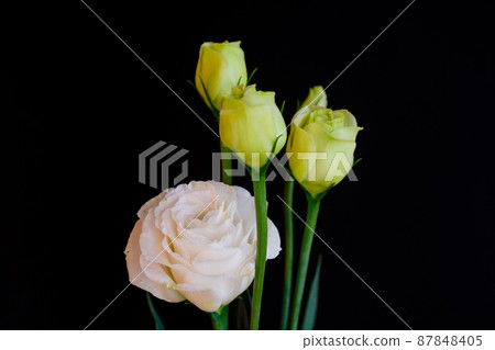 Black background 87848405