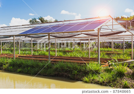 Solar panels in an agriculture green field. 87848665