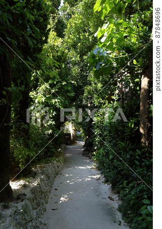 Okinawa Headquarters Bise Village Fukugi Namiki Okinawa Headquarters Bise Village Fukugi Namiki 87848696