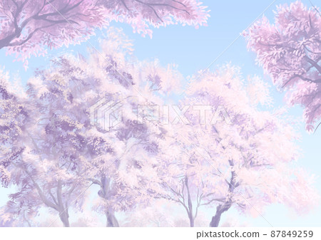 水彩風格櫻花背景_無雲_無花瓣 水彩風格櫻花背景_無雲_無花瓣 87849259