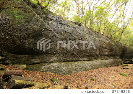 愛媛縣香椿市秋河谷龍肚 87849268