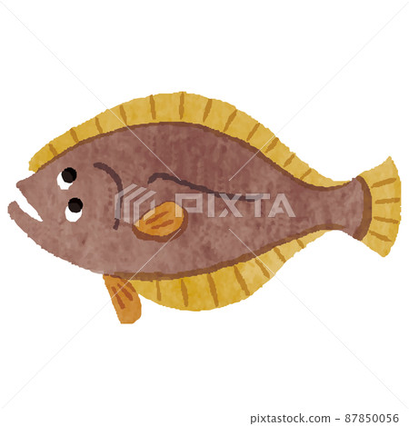 比目魚手繪插圖 比目魚手繪插圖 87850056