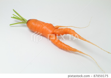 Carrot with a bifurcated tip 87850175