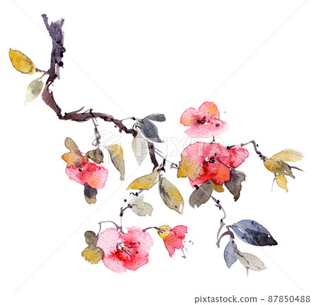 Watercolor blossom sakura branch Watercolor blossom sakura branch 87850488
